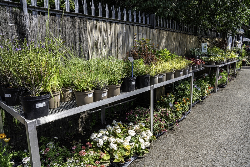 Sunnyside Rural Trust- Hemel Hempstead